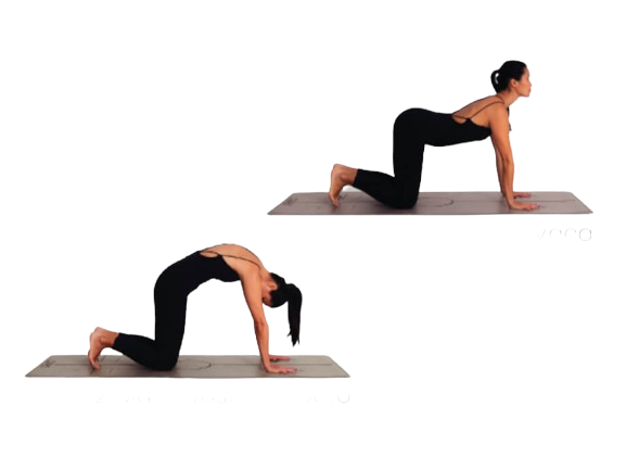 Postura yoga